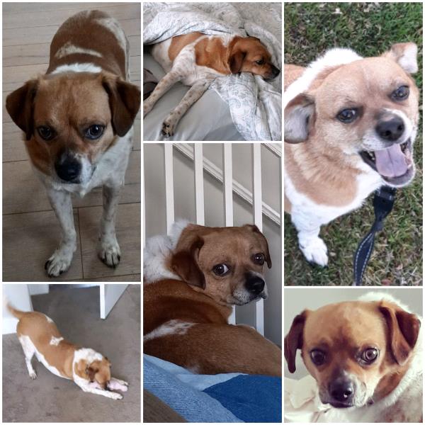 /Images/uploads/Cuddles Cat Cafe/uvac/entries/18157thumb.jpg